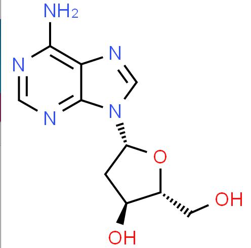 Provide 2'-Deoxyadenosine CAS: 958-09-8 with high quality
