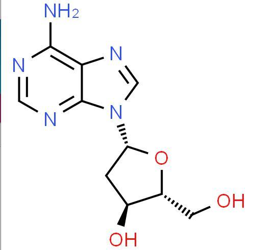 Provide 2'-Deoxyadenosine CAS: 958-09-8 with high quality