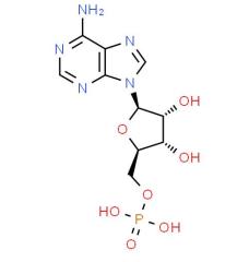 High Quality Adenosine 5'-monophosphate Powder CAS 61-19-8