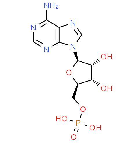 High Quality Adenosine 5'-monophosphate Powder CAS 61-19-8