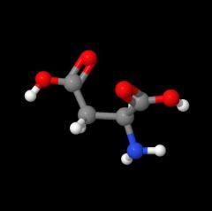 Professional L-Aspartic acid cas 56-84-8 with low price