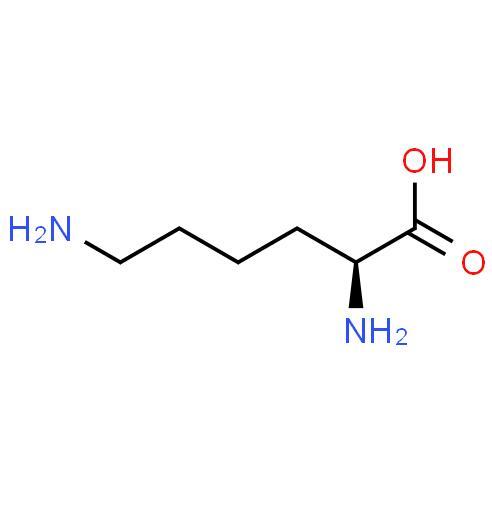 Factory Supply L-lysine 99% Food Grade CAS 56-87-1