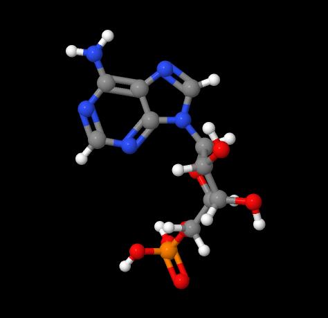 High Quality Adenosine 5'-monophosphate Powder CAS 61-19-8