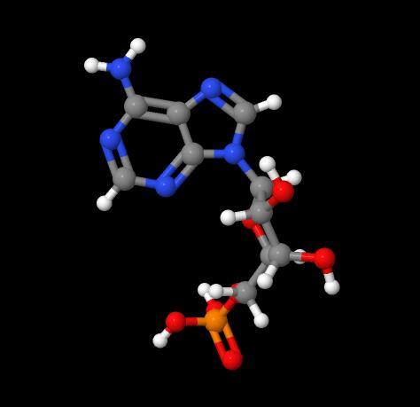 High Quality Adenosine 5'-monophosphate Powder CAS 61-19-8