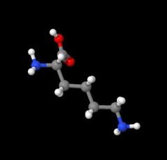 Factory Supply L-lysine 99% Food Grade CAS 56-87-1