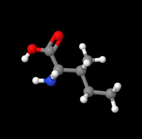 Food Grade High Quality DL-Isoleucine CAS 443-79-8