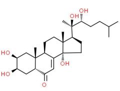 Provide PONASTERONE A CAS: 13408-56-5 with high quality