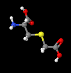 Natural Extract CAS 638-23-3 Guaranteed Quality S-Carboxymethyl-L-cysteine