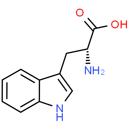 Hot Sale Supply Top Quality D-Tryptophan Powder CAS No 153-94-6