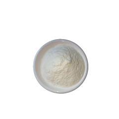 Raw Material Creatine Hydrochloride / Creatine HCL Powder CAS 17050-09-8