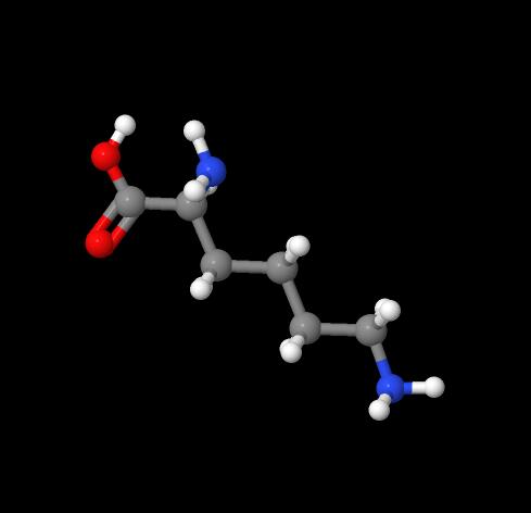 China Manufacturer Supply DL-Lysine Base CAS 70-54-2