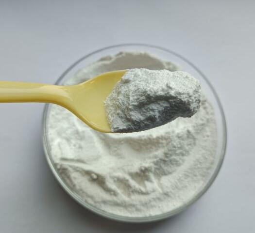 High quality D-Glutamic Acid CAS NO 6893-26-1
