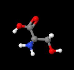 Wholesale price DL-Serine CAS 302-84-1