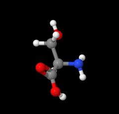 Hot selling D-Serine CAS NO. 312-84-5