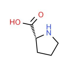 Best price DL-Proline CAS NO 609-36-9