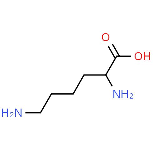 China Manufacturer Supply DL-Lysine Base CAS 70-54-2