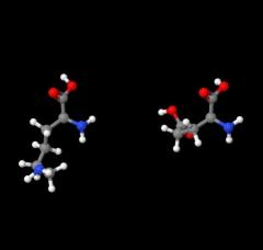 Hot selling L-Lysine L-glutamate CAS NO.5408-52-6