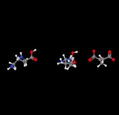 High Quality L-Ornithine 2-oxoglutarate CAS 5144-42-3