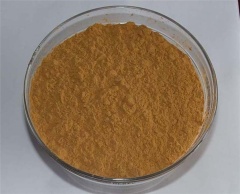 Good price Sinapyl alcohol CAS 537-33-7 Made in China