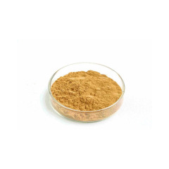 Good price Sinapyl alcohol CAS 537-33-7 Made in China