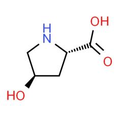 Factory price trans-4-Hydroxy-L-proline CAS 51-35-4