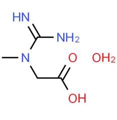 Top quality Creatine monohydrate powder CAS 6020-87-7