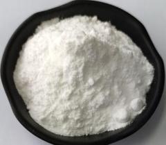 Top quality Creatine monohydrate powder CAS 6020-87-7