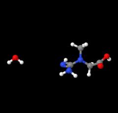 Top quality Creatine monohydrate powder CAS 6020-87-7