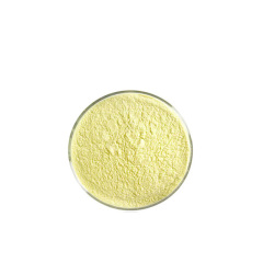China High purity 99% 5-Methyl-2-pyrazinecarboxylic acid CAS 5521-55-1 suppliers