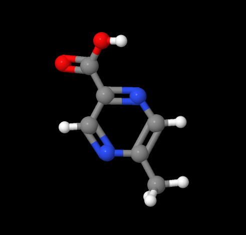 China High purity 99% 5-Methyl-2-pyrazinecarboxylic acid CAS 5521-55-1 suppliers