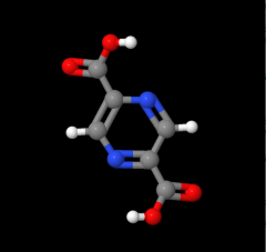China High purity 98% Pyrazine-2,5-dicarboxylic Acid CAS 122-05-4 suppliers