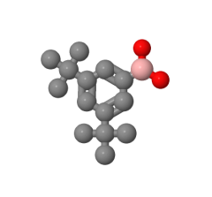 Wholesole price (3,5-Di-tert-butylphenyl)boronic acid CAS 197223-39-5