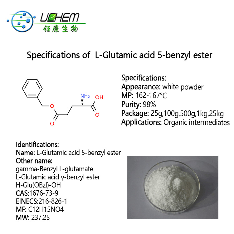 Provide high quality gamma-Benzyl L-glutamate cas 1676-73-9
