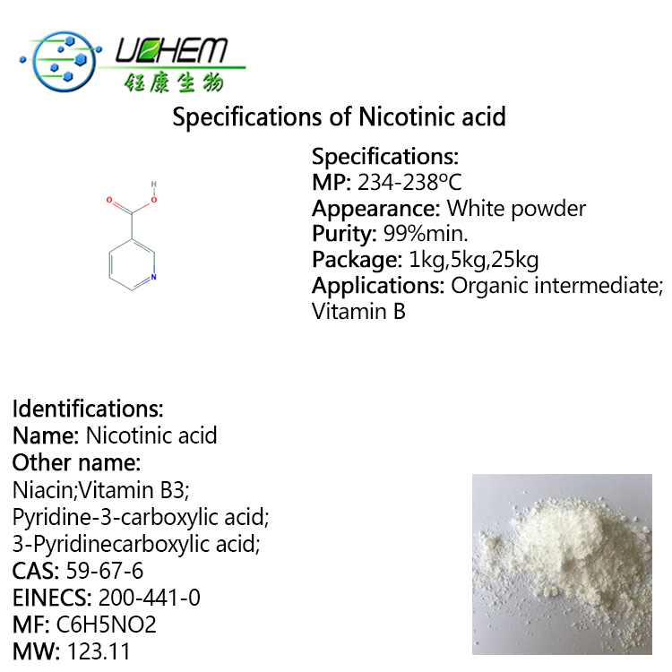 High Quality Vitamin B3 Nicotinic Acid Powder CAS 59-67-6