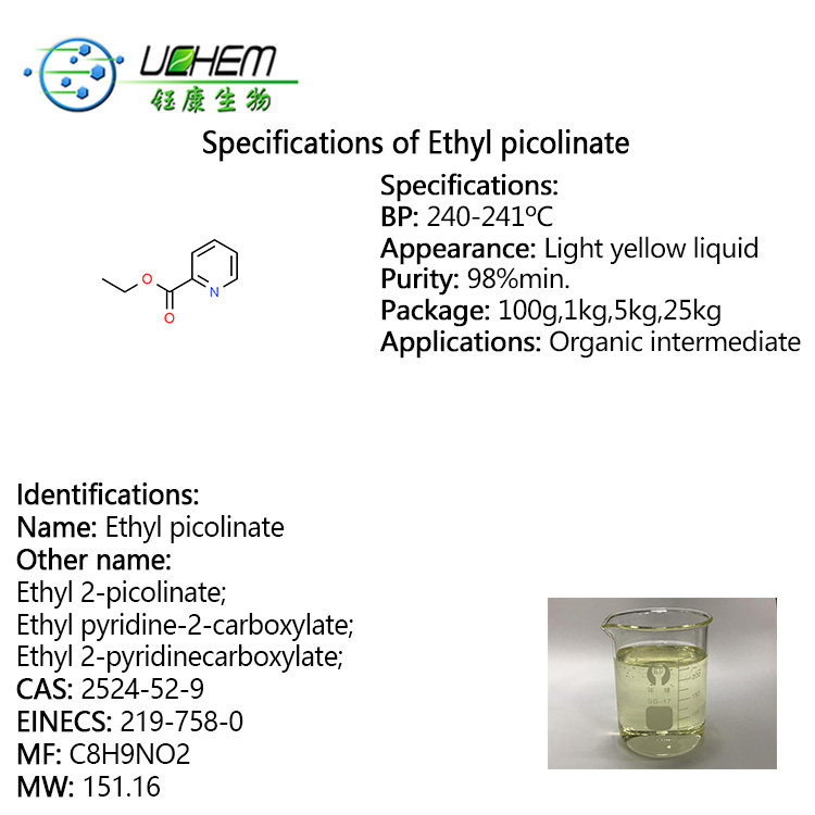 High quality Ethyl 2-picolinate / Ethyl picolinate cas 2524-52-9 with best price