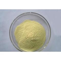 High purity 5-Bromonicotinic acid cas 20826-04-4 in stock
