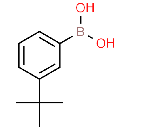China wholesale M-T-BUTYLPHENYLBORONIC ACID CAS 560132-24-3 suppliers