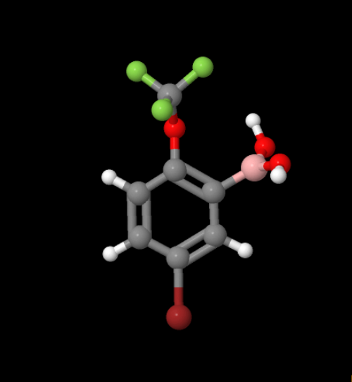 Factory 5-Bromo-2-(trifluoromethoxy)phenylboronic acid CAS 1072951-56-4 in stock