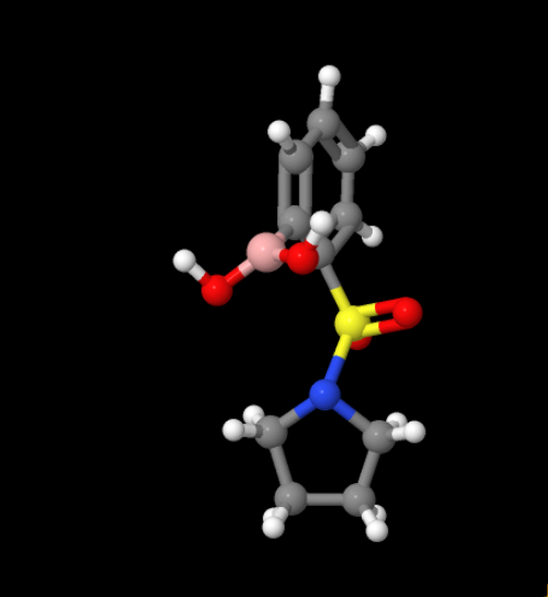 China High purity 98% [2-(1-Pyrrolidinylsulfonyl)phenyl]boronic acid CAS 913835-83-3 suppliers
