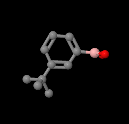 China wholesale M-T-BUTYLPHENYLBORONIC ACID CAS 560132-24-3 suppliers