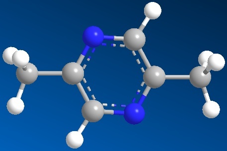 High Quality 99% purity 2,5-Dimethylpyrazine food additive for fragrance CAS 123-32-0