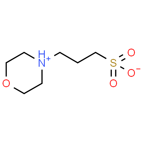 Wholesale MOPS 3-Morpholinopropanesulfonic acid CA NO 1132-61-2 in china