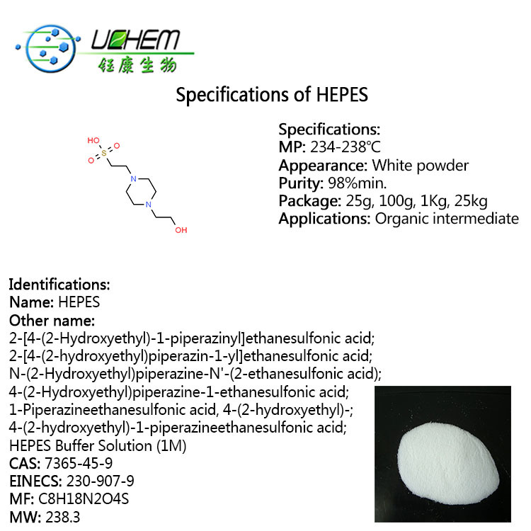 High quality HEPES 4-(2-Hydroxyethyl)-1-piperazineethanesulfonic acid CAS 7365-45-9
