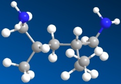 Poly(allylamine hydrochloride) CAS NO 71550-12-4 in china
