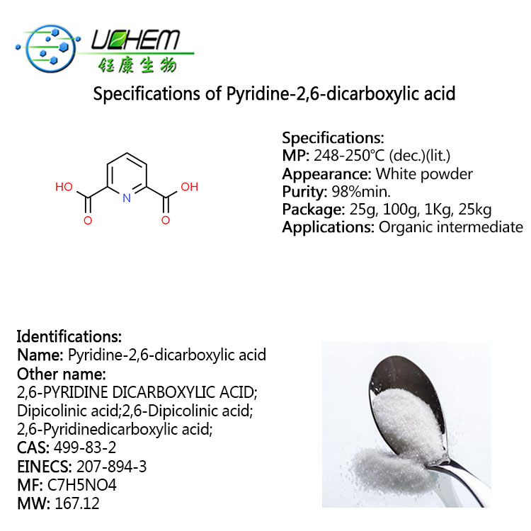 Factory supply 99%min 2,6-Pyridinedicarboxylic acid CAS 499-83-2