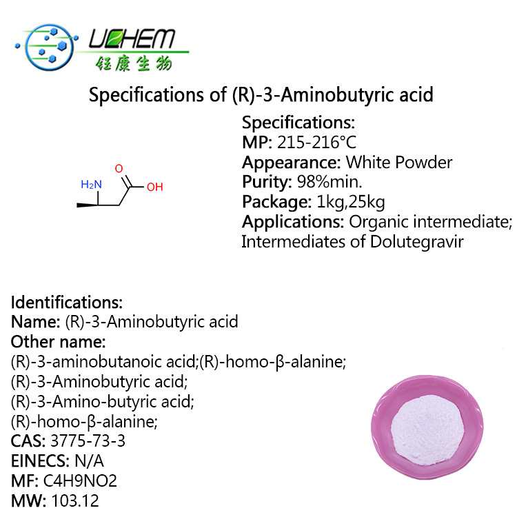 Big discount 99% (R)-3-aminobutanoic acid CAS 3775-73-3 with best quality