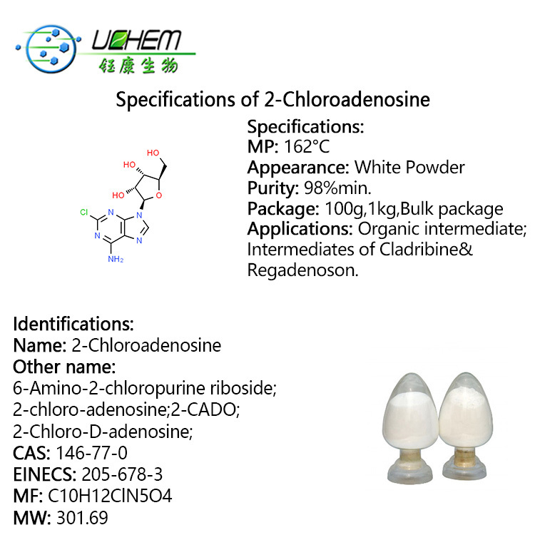 High Quality 6-Amino-2-chloropurine riboside / 2-Chloroadenosine cas 146-77-0 with best price