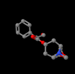 Factory Supply High Quality 98% Scopolamine powder CAS 51-34-3 price for sale