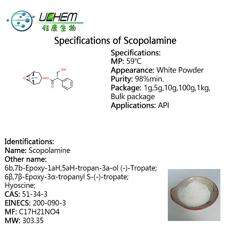 Factory Supply High Quality 98% Scopolamine powder CAS 51-34-3 price for sale