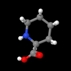 High purity 98% L-Pipecolinic acid powder CAS 3105-95-1 with best price